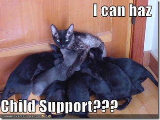 funny-pictures-child-support-cat