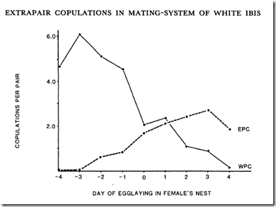 extra-pair-copulation